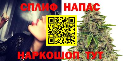СК Будённовск