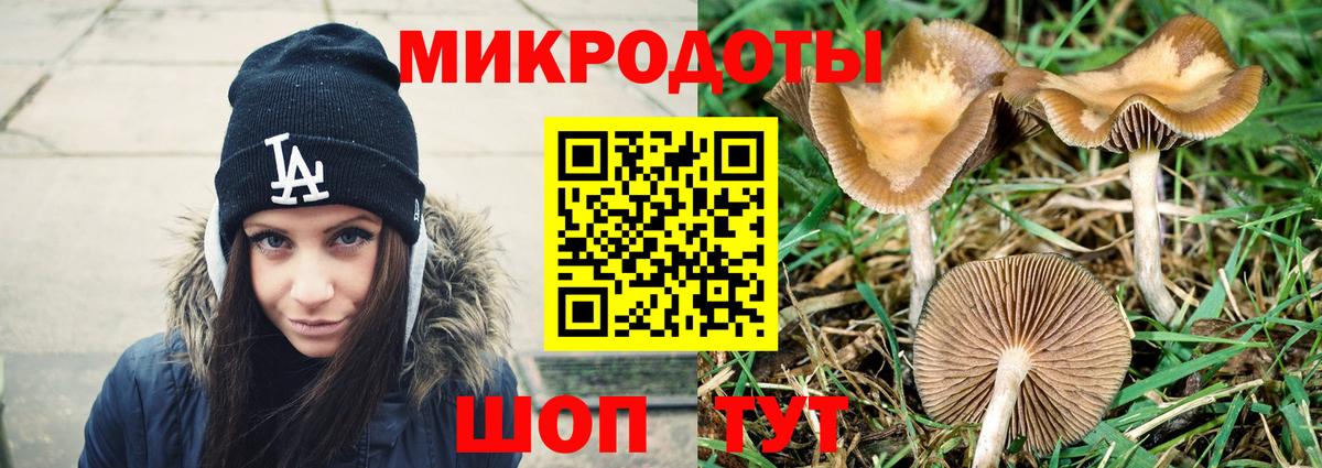 Галлюциногенные грибы Psilocybine cubensis Печора